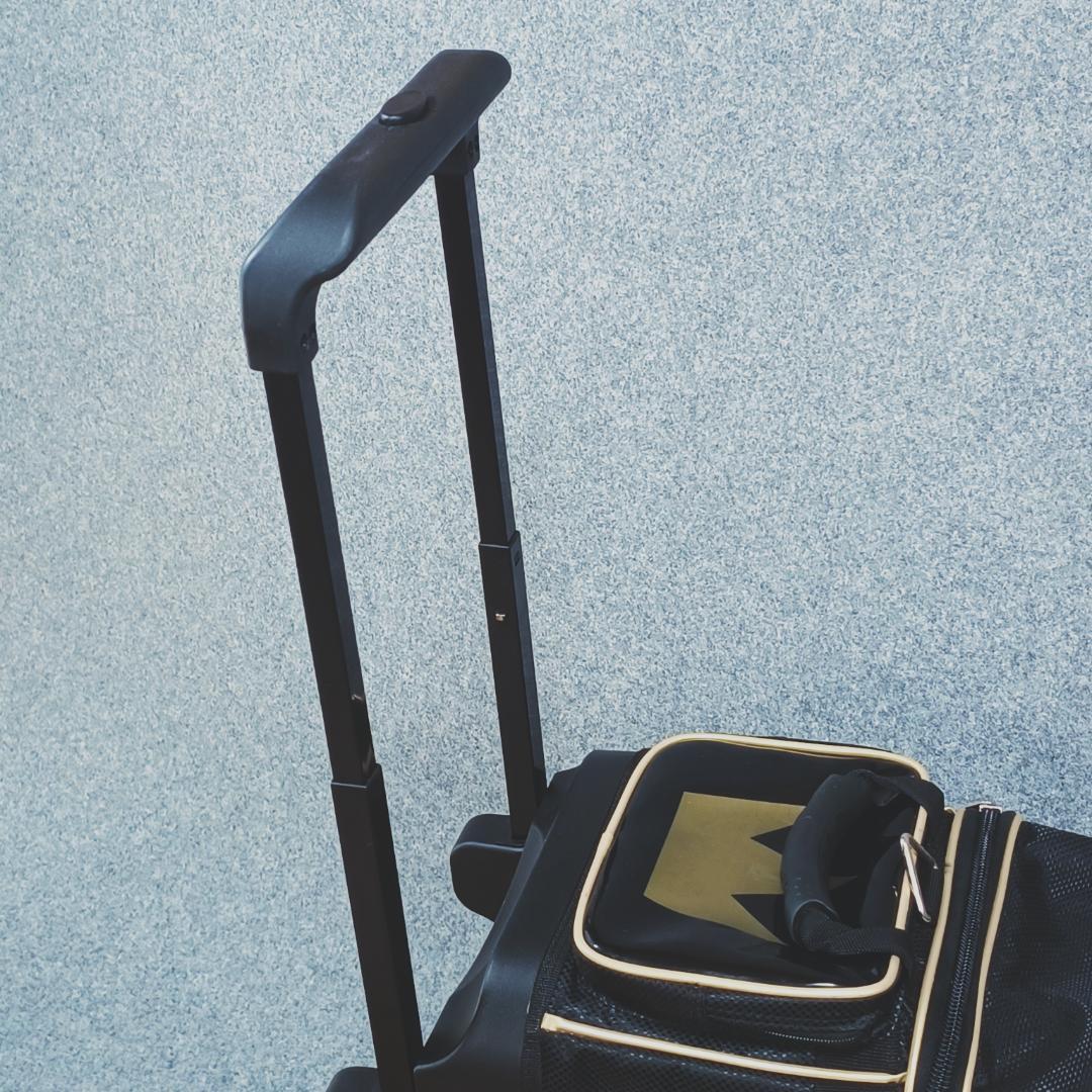 【美品】Brunswick クラウン2ボールローラー 黒×金 2ボール用