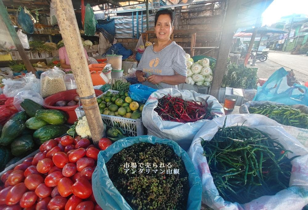 夏の山椒祭り：熱帯スマトラ島トバ湖より、アンダリマン山椒粉末、大容量1000g