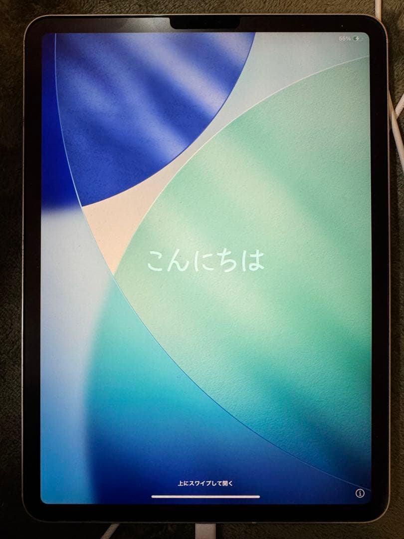 Apple iPad Pro (11インチ) 256GB シルバー　SIMフリー