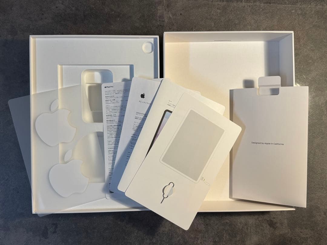 Apple iPad Pro (11インチ) 256GB シルバー　SIMフリー