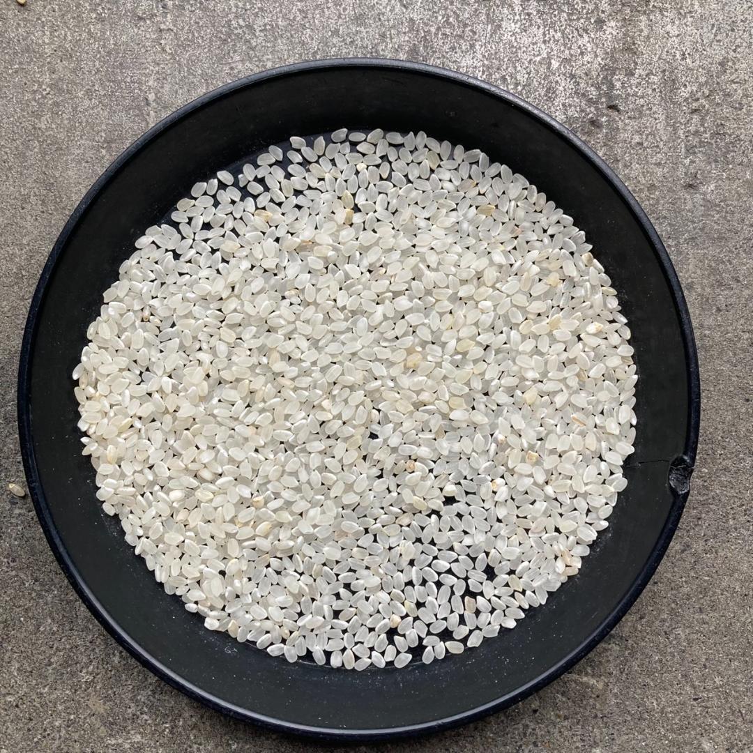 30kg 小米 鳥の餌 砕米 色彩選別機で飛ばしたお米等です