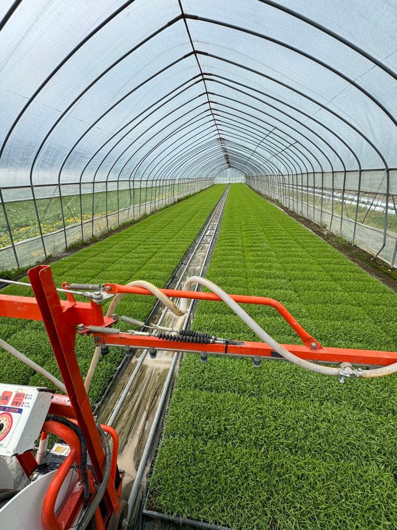 あおいページ＊ゆめぴりか5キロ玄米、5キロ白米