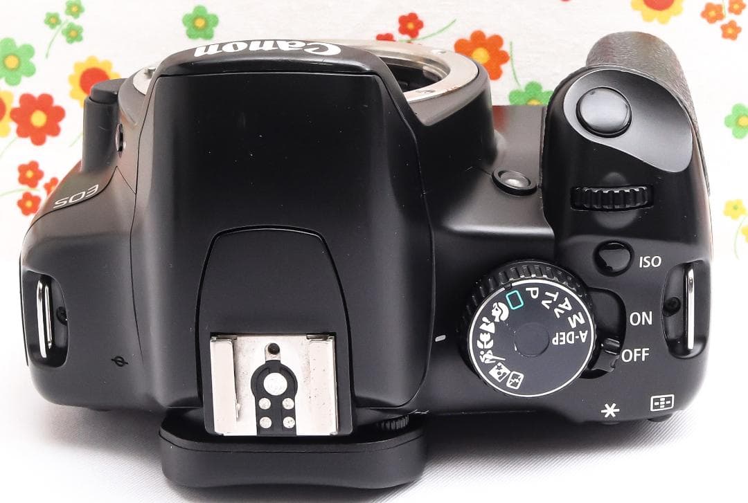 キャノン Canon kiss x2☆スマホに転送☆お手軽一眼レフ♪