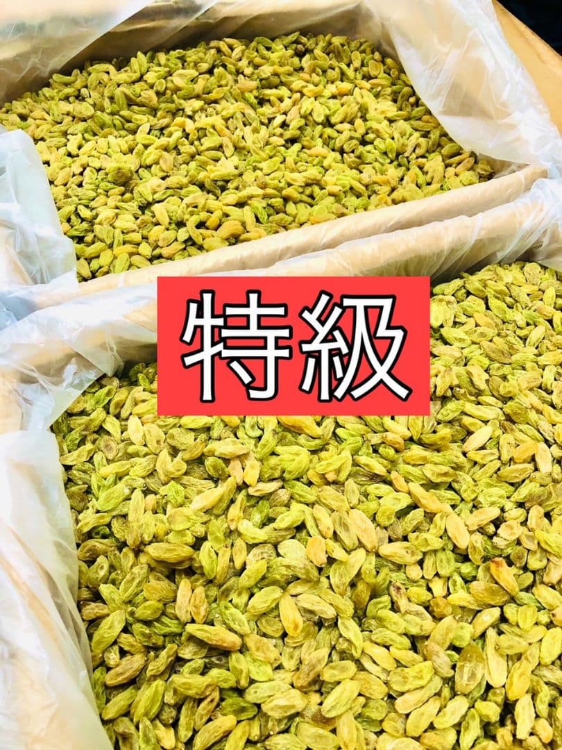 紫蚕 鷂黯（シテン ヨウアン）