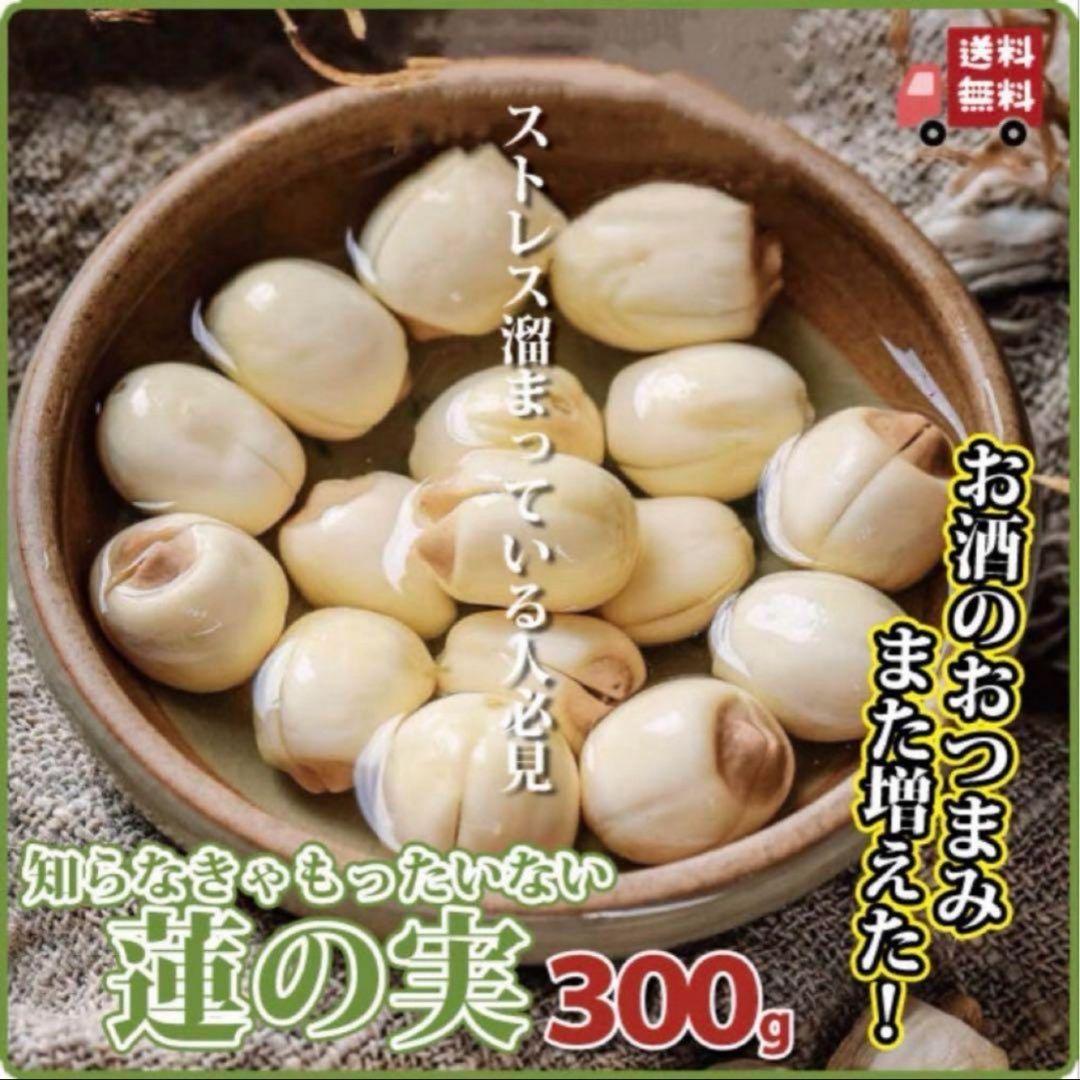 紫蚕 鷂黯（シテン ヨウアン）