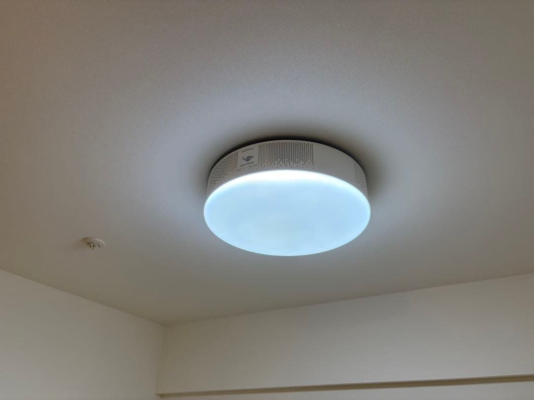 はる　ポップインアラジン2