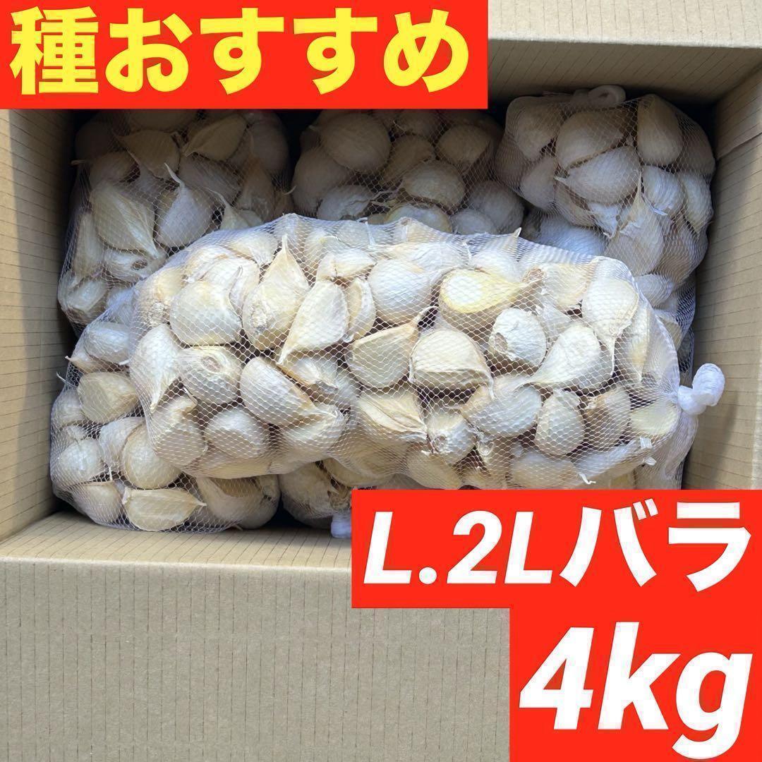 【大特価】新物 青森県産 にんにく L.2Lバラ 4kg 福地ホワイト 加工 種
