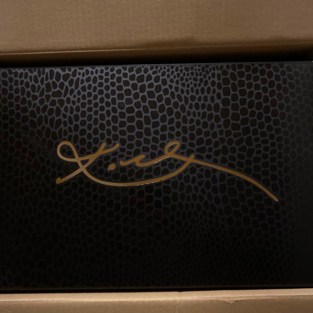 Nike Kobe 6 Protro オレンジ/グレー