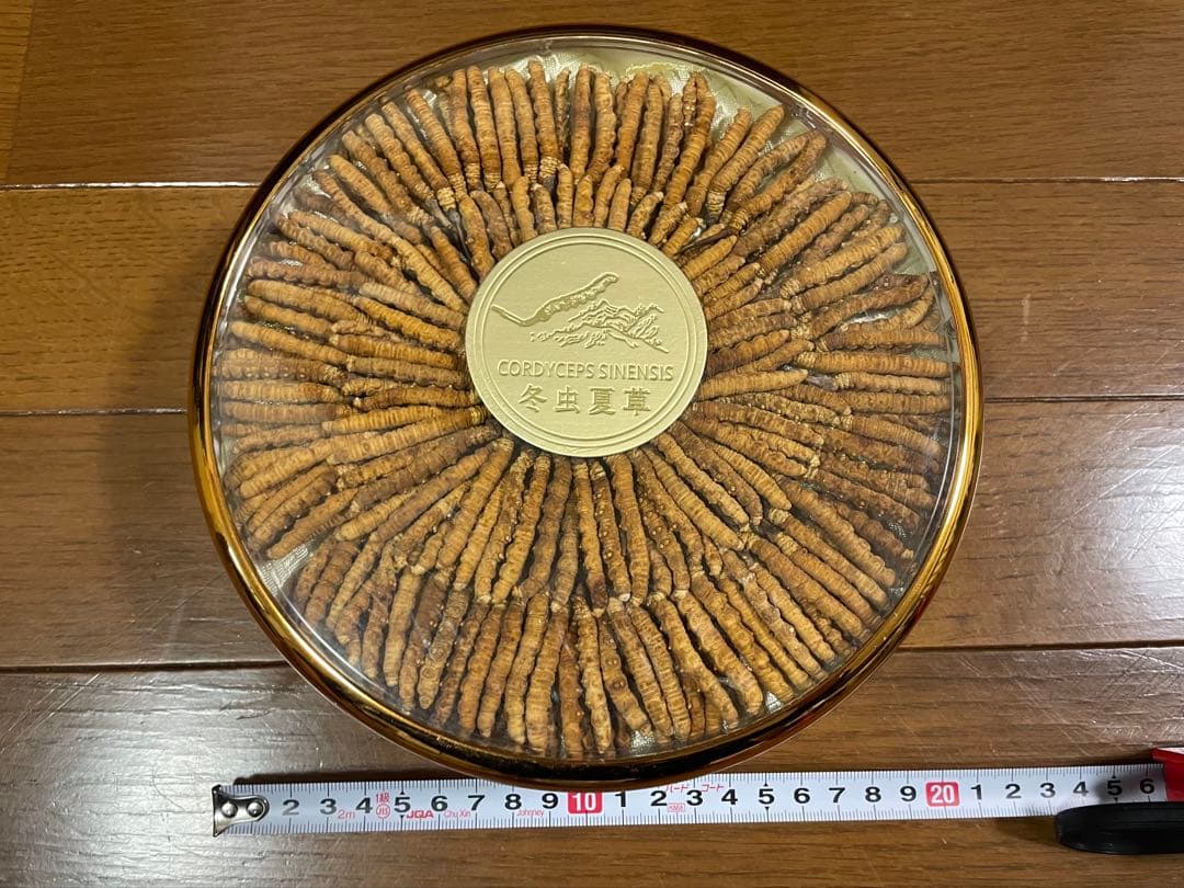 冬虫夏草