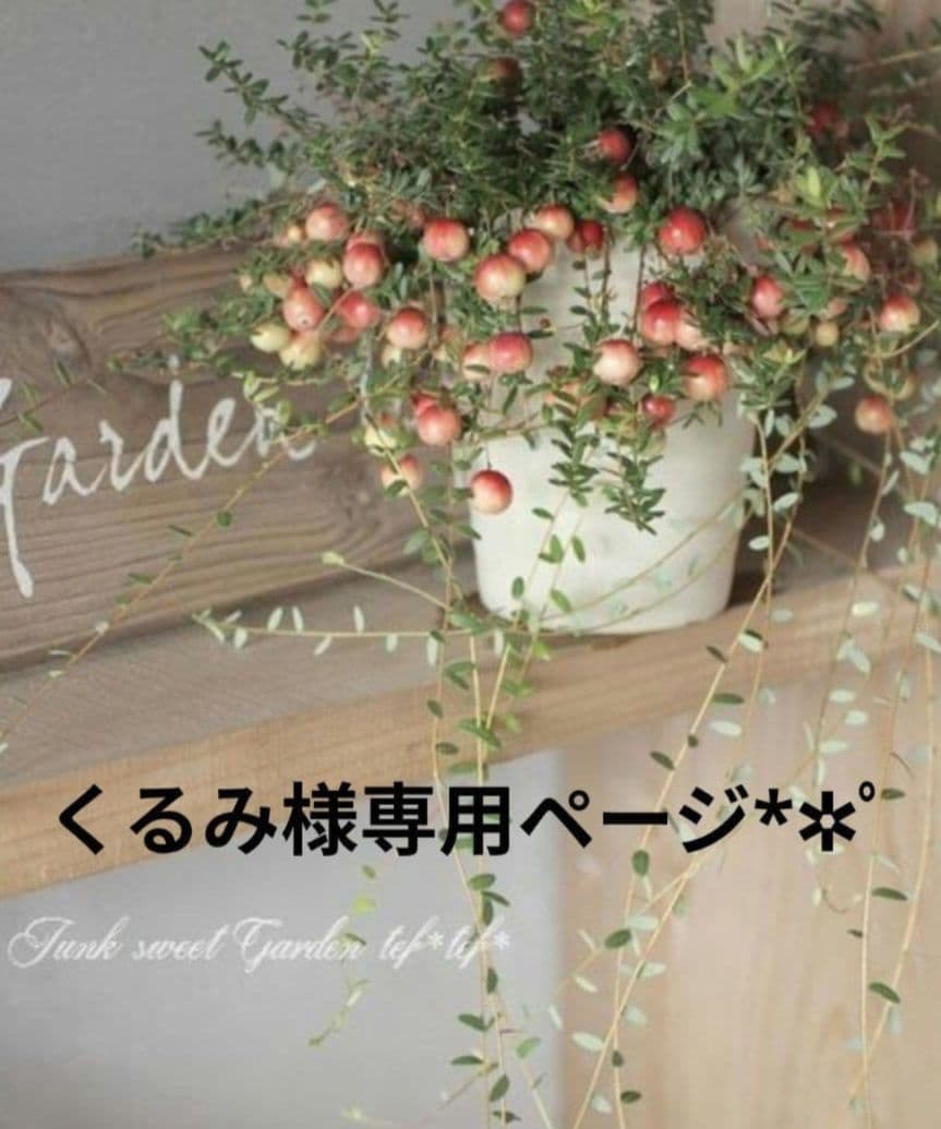 くるみページ•*¨*•.¸♬︎