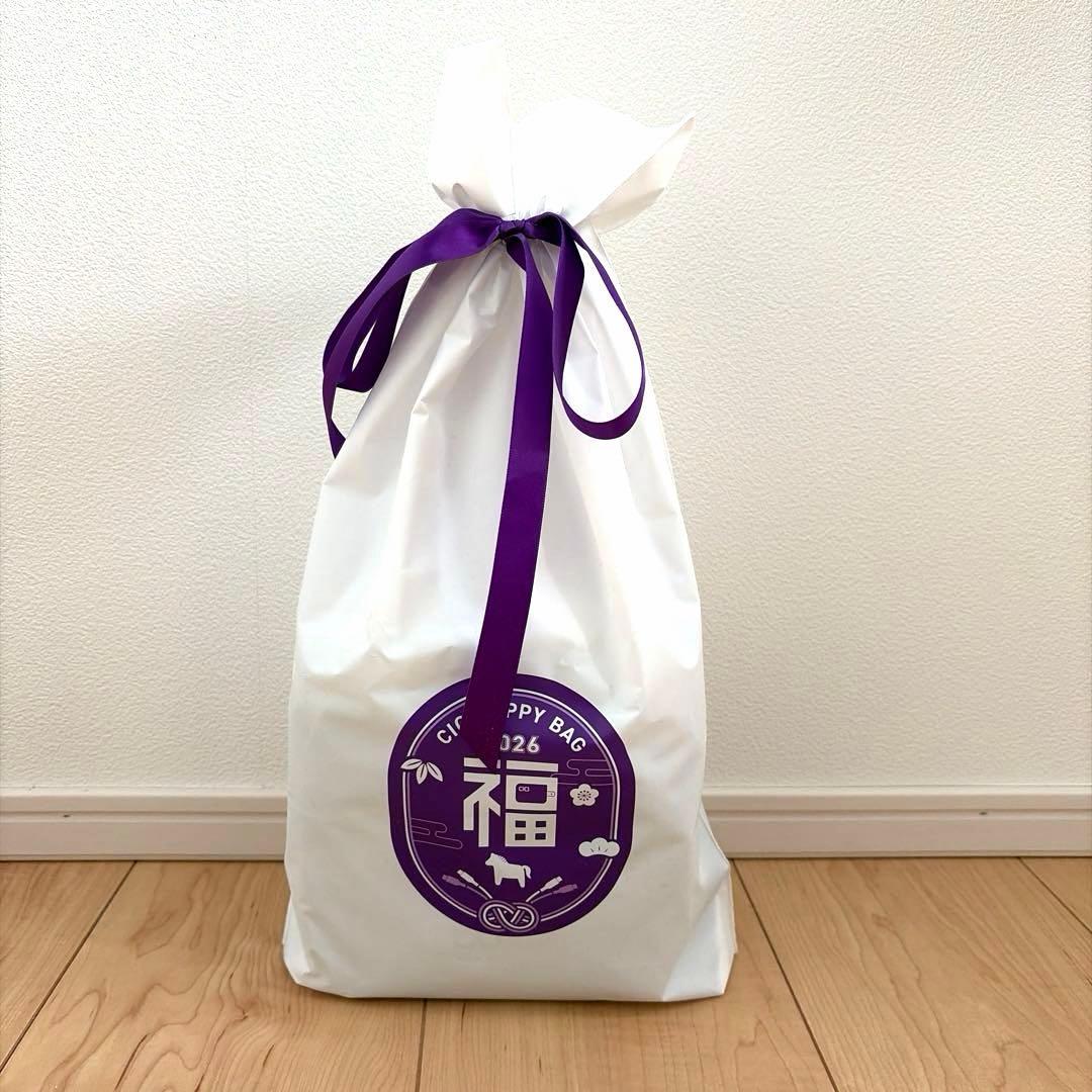 【新品未使用】CIO HAPPY BAG 2026 福袋　モバイルバッテリーなど
