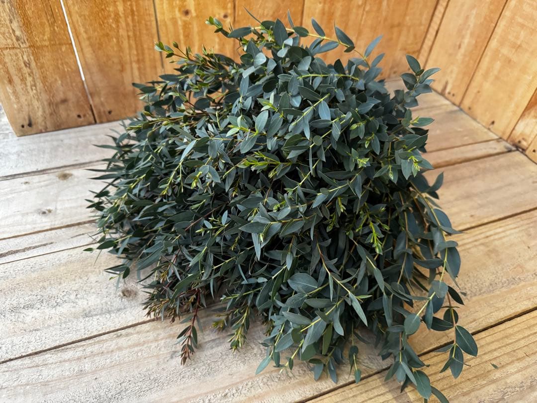 riisi様 リクエスト 4点 まとめ商品