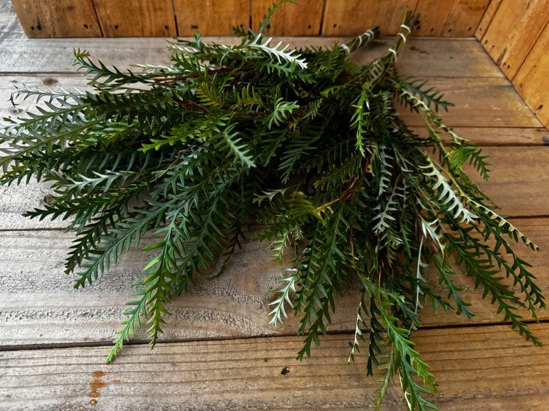 riisi様 リクエスト 4点 まとめ商品