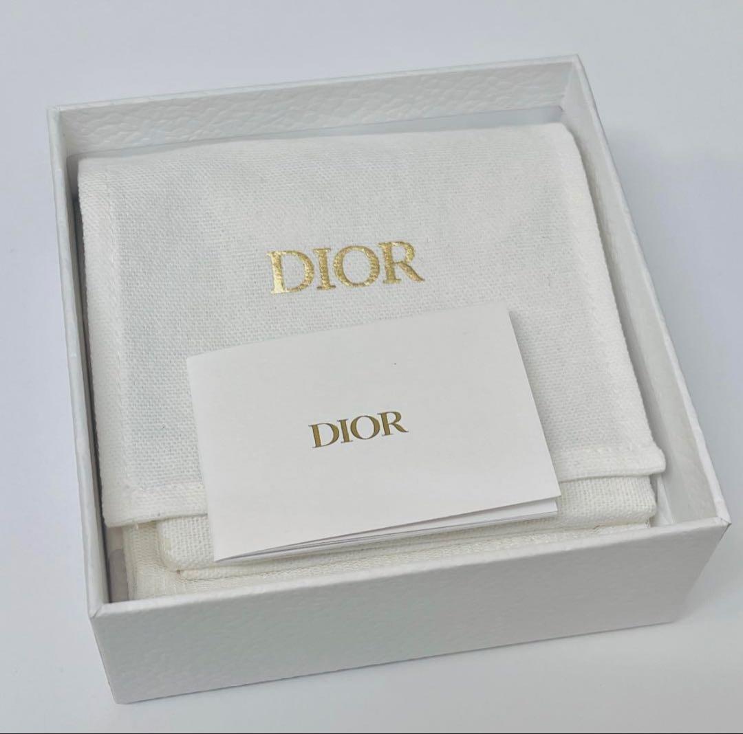 【美品】DIOR Clair D Lune ネックレス