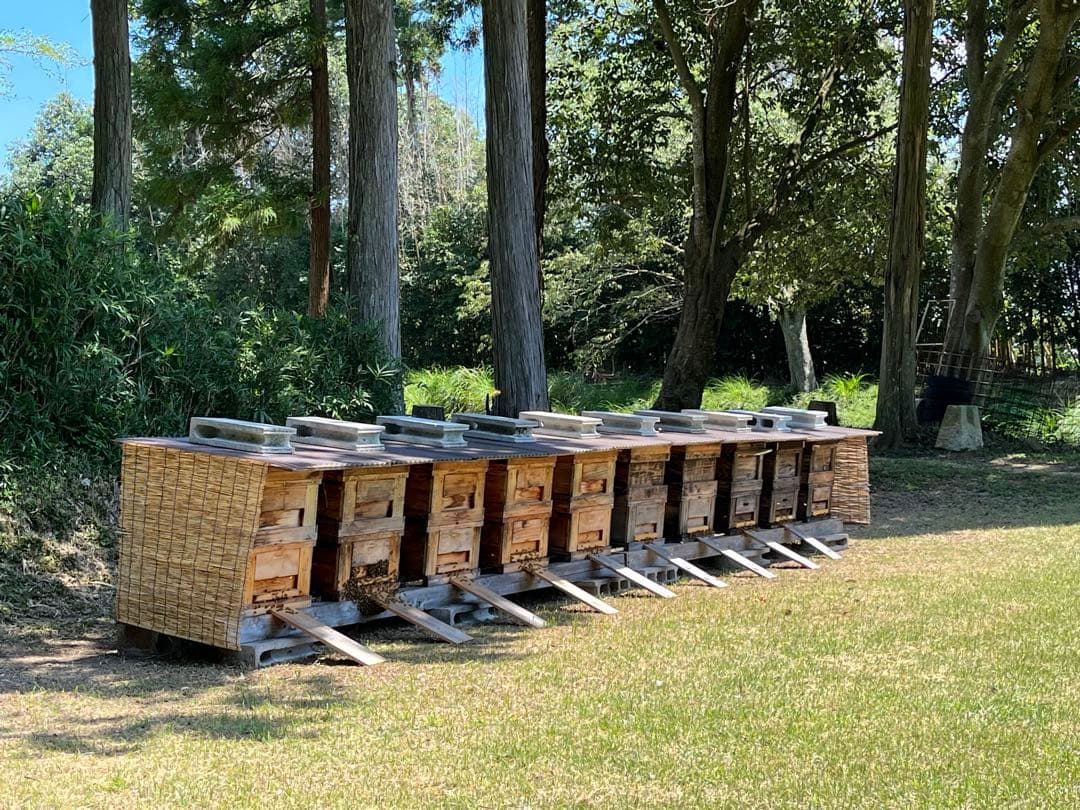 西洋蜂蜜　1200g×2 非加熱