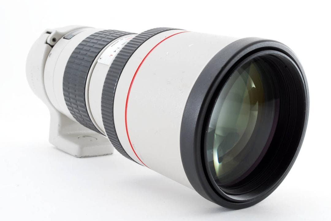 CanonEF 300mm f4 L USM キャノン