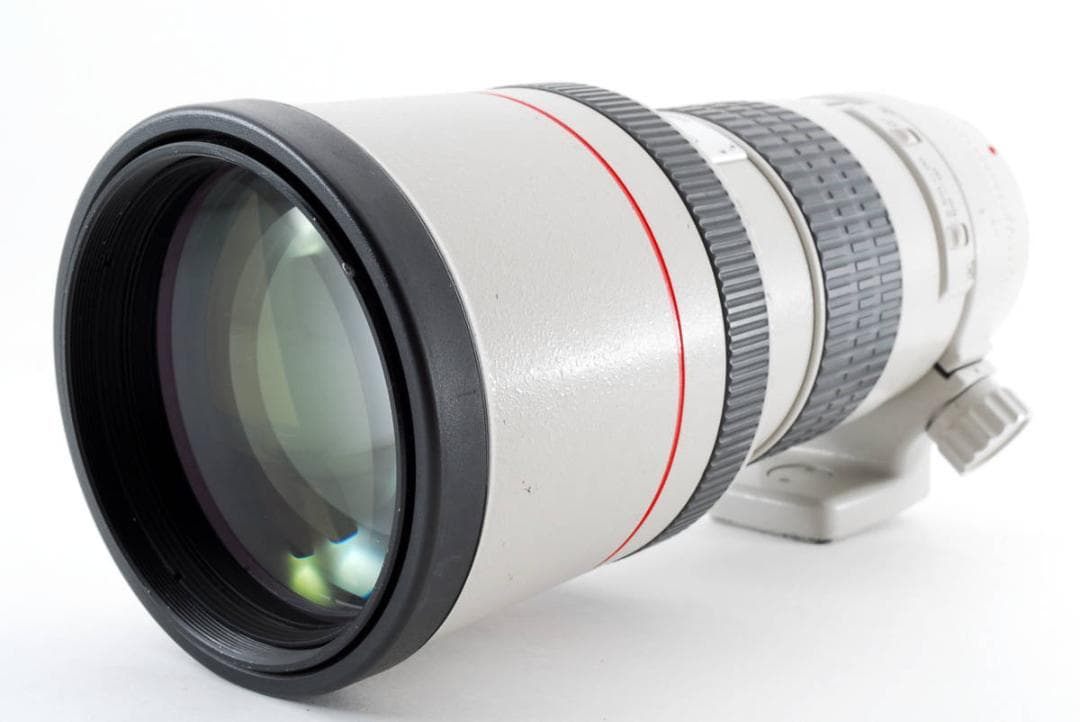 CanonEF 300mm f4 L USM キャノン
