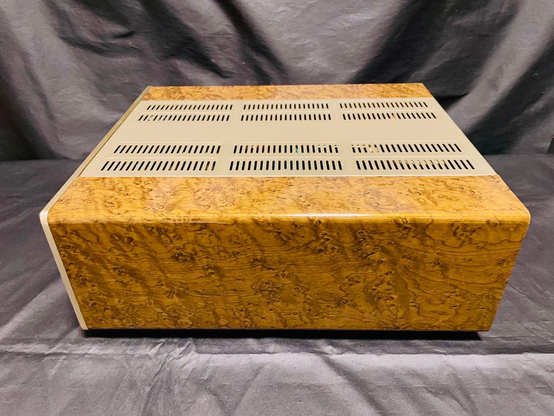 BOSE PLS-1310 極美品　レンズ、ベルト、ギア新品　オーバーホール済