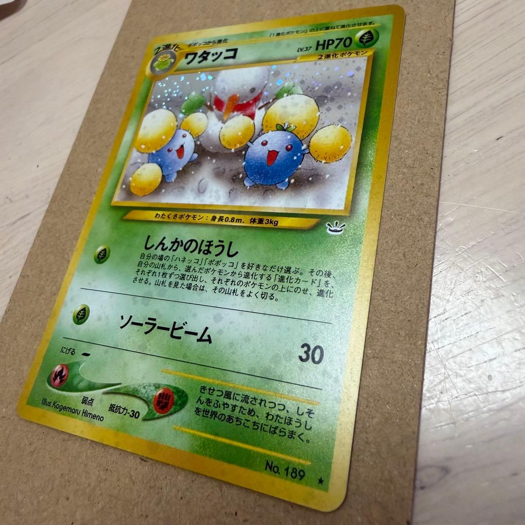 ワタッコ、カメックス、フシギバナ