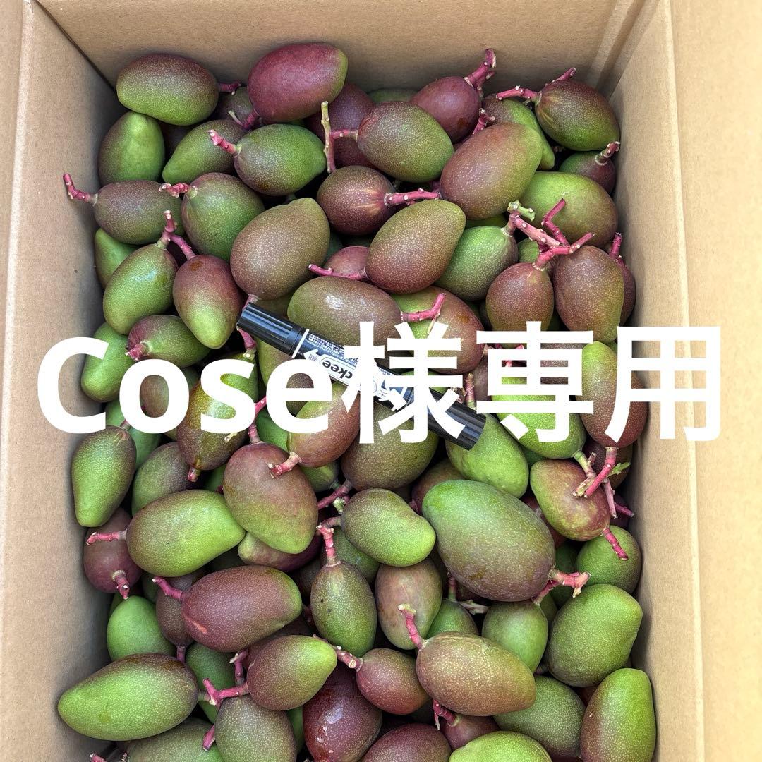 摘果マンゴー2/12