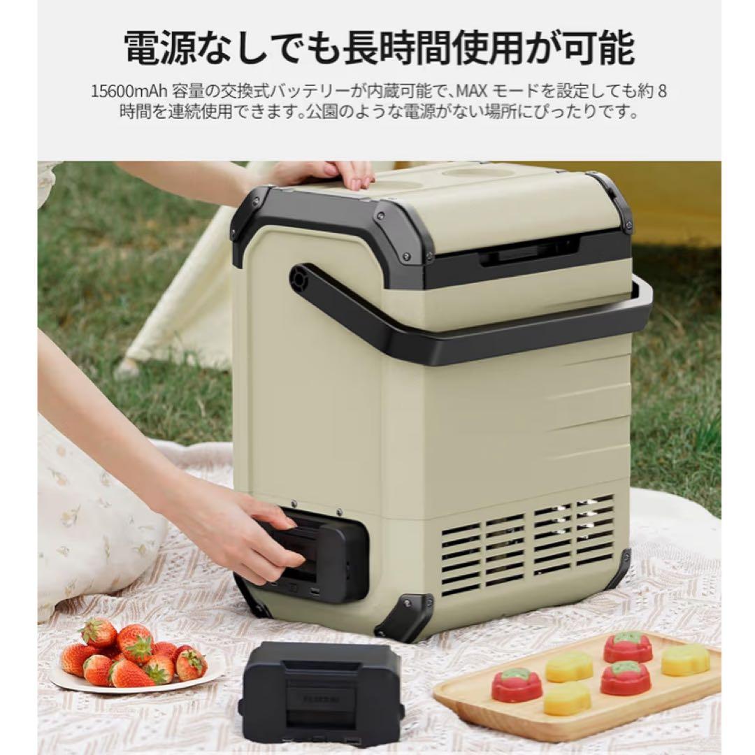 車載冷蔵庫 D10 10L バッテリー付き -20℃～10℃ 小型 両開き