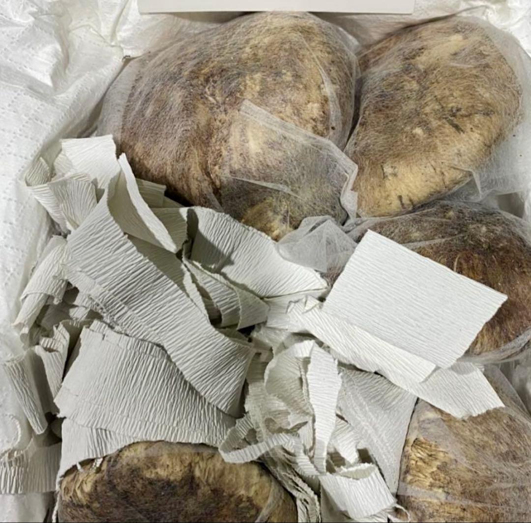 中国産松茸 約1kg 箱　 開きHBA3L