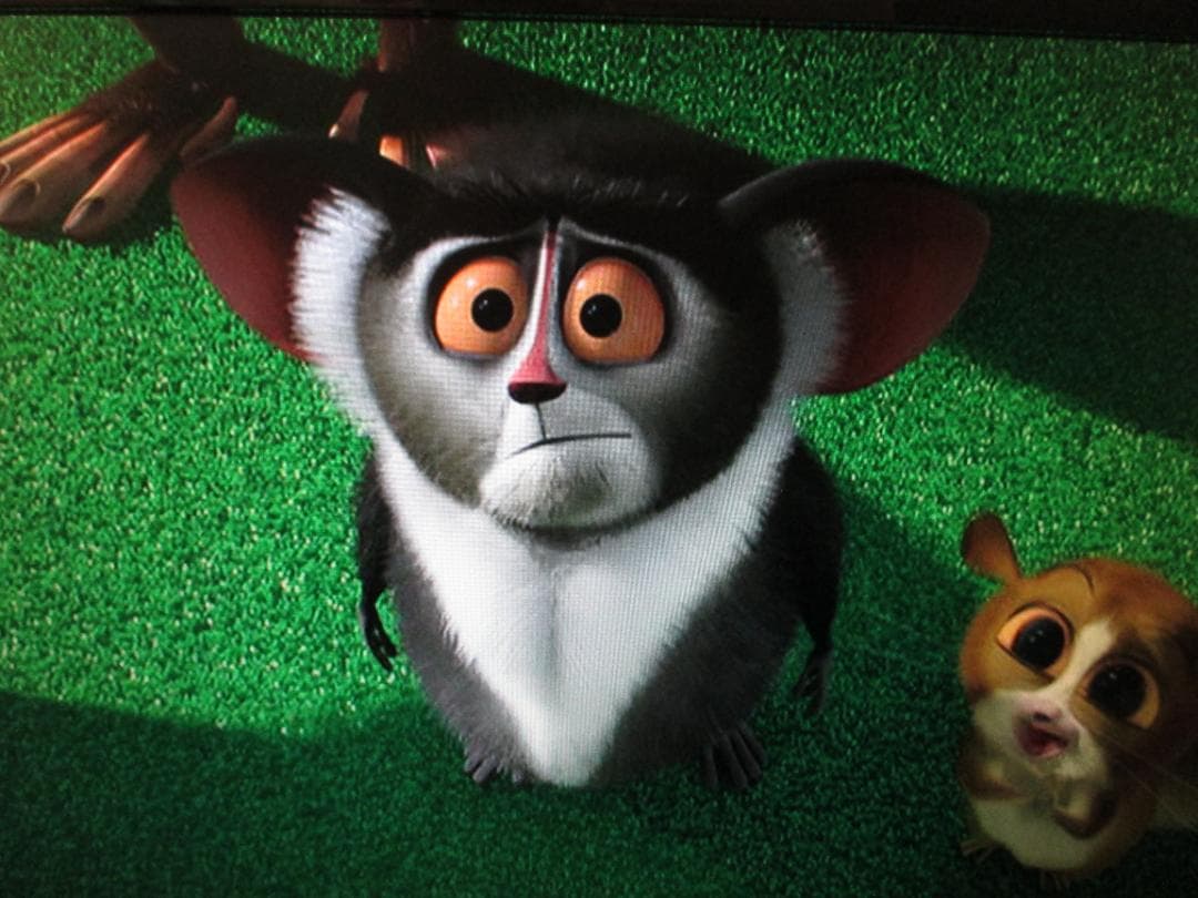 2014年製☆SHARP ブルーレイレコーダー BD-S560