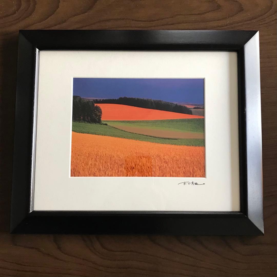 前田真三 額入り写真 拓真舘 麦秋の丘 美瑛町 北海道