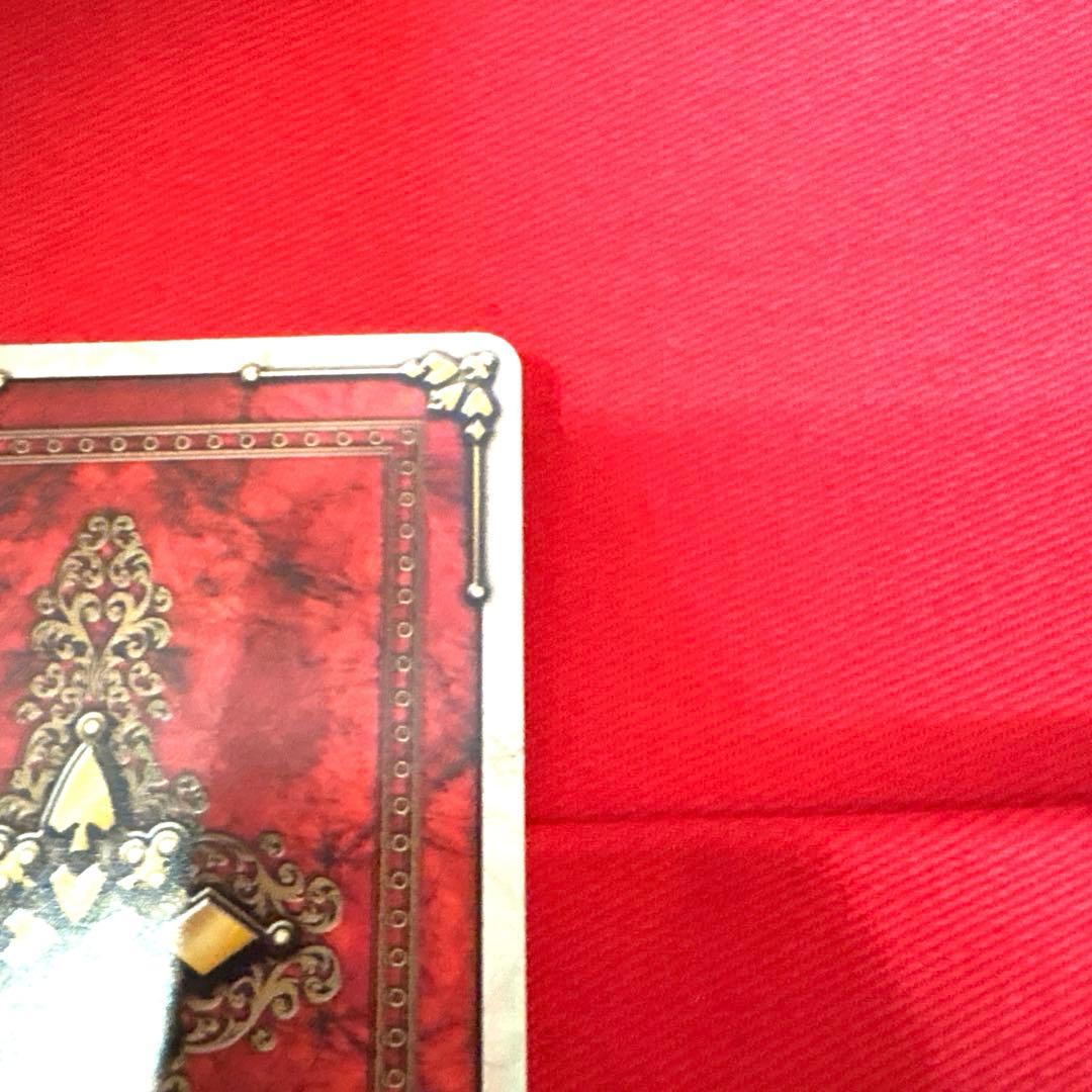 ラウズカード アブソーブオーキッド 仮面ライダー剣 カリス トレカ レア 相川始