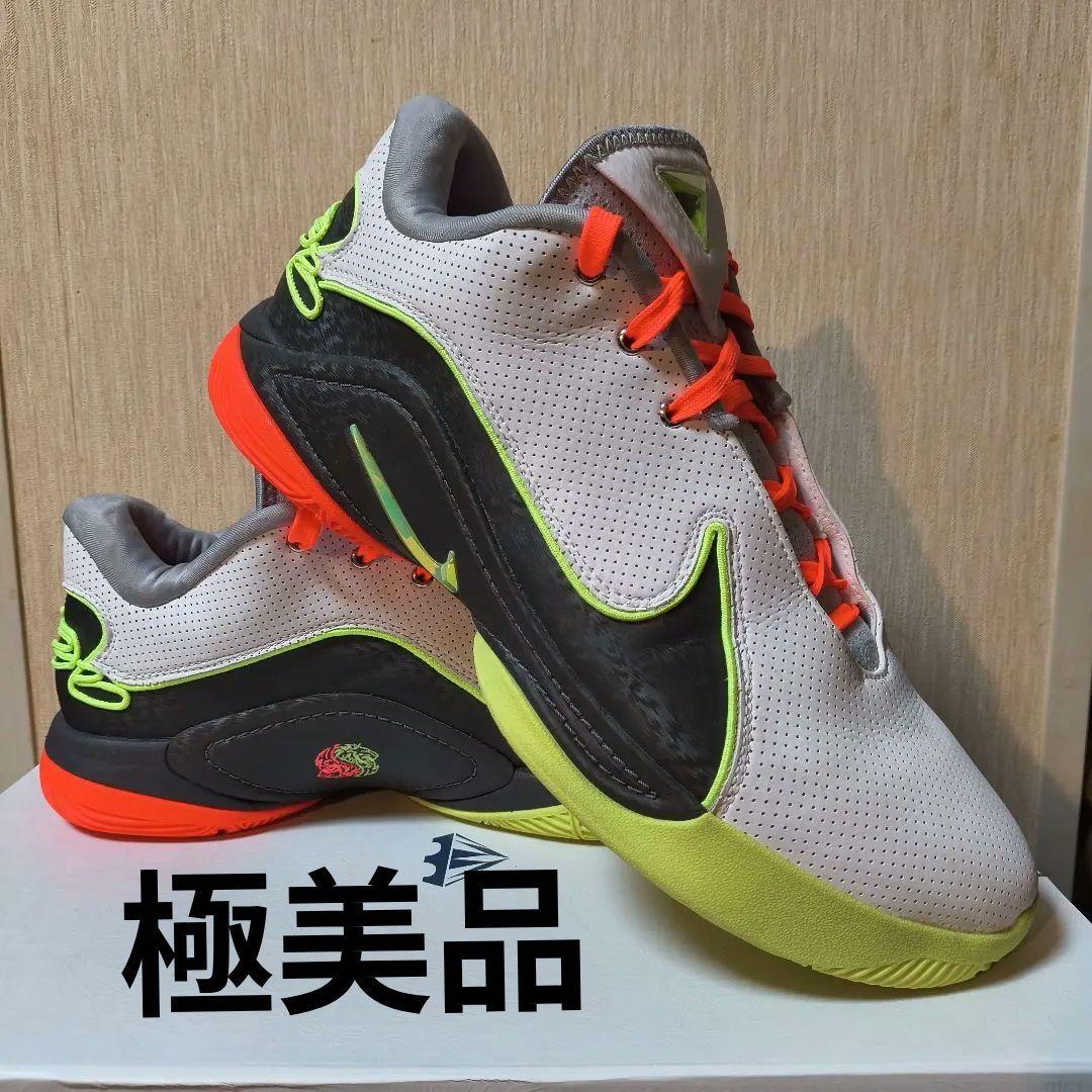 シューズ(男性用) LEBRON22 29cm