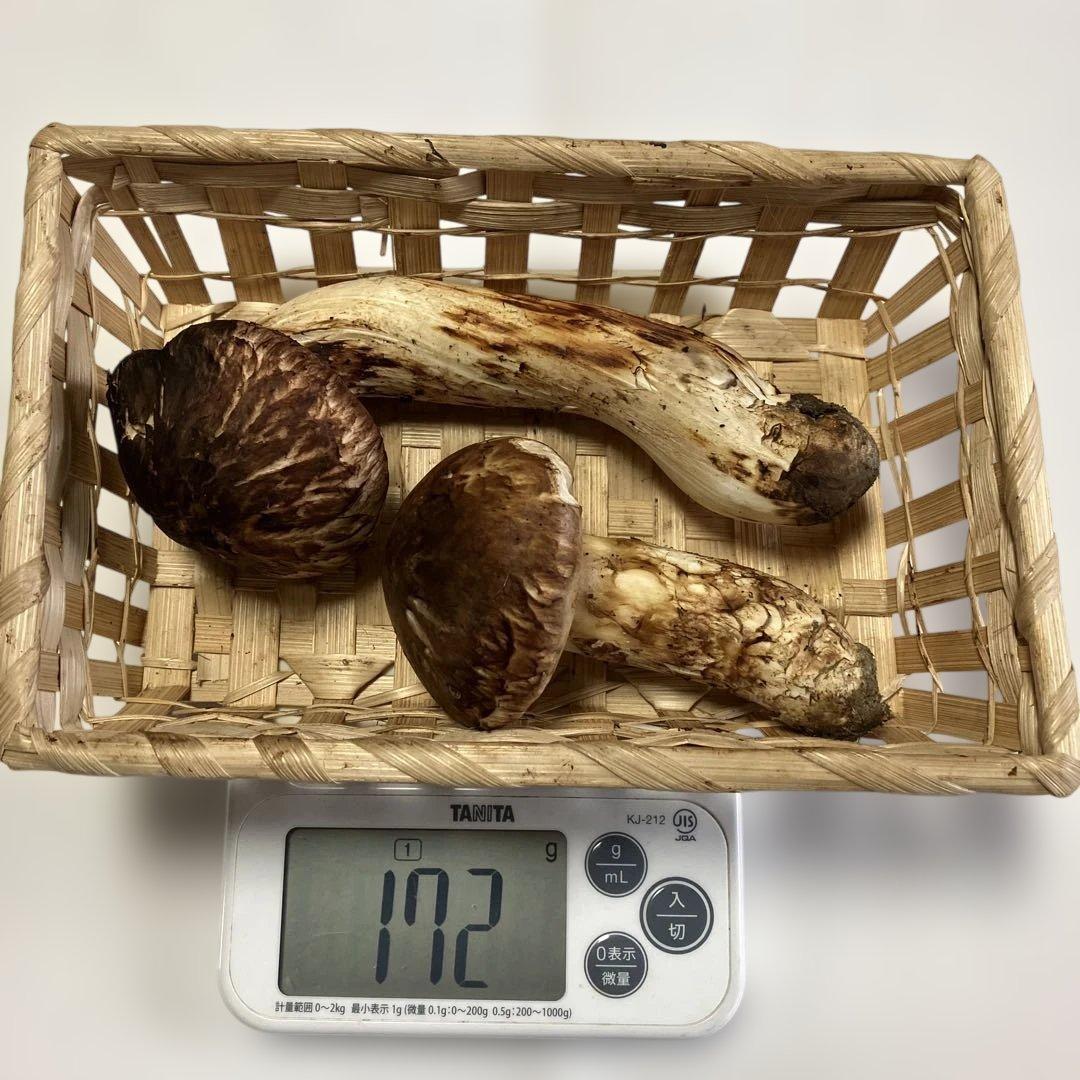 岩手県産松茸　１７２g