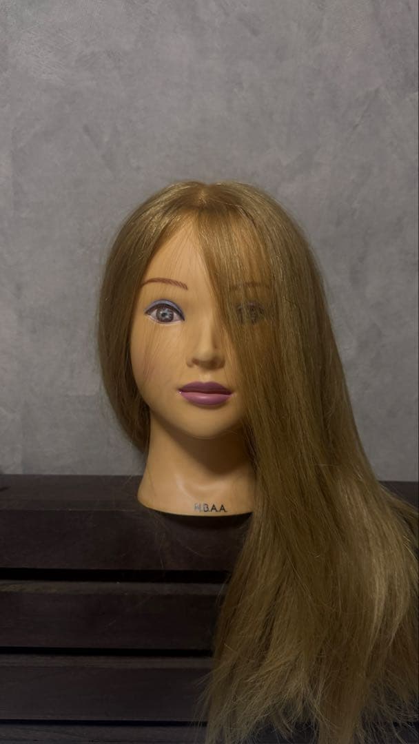 卵焼きさん専用◎NBAA ヘアアレンジ アップウィッグ ブロンド