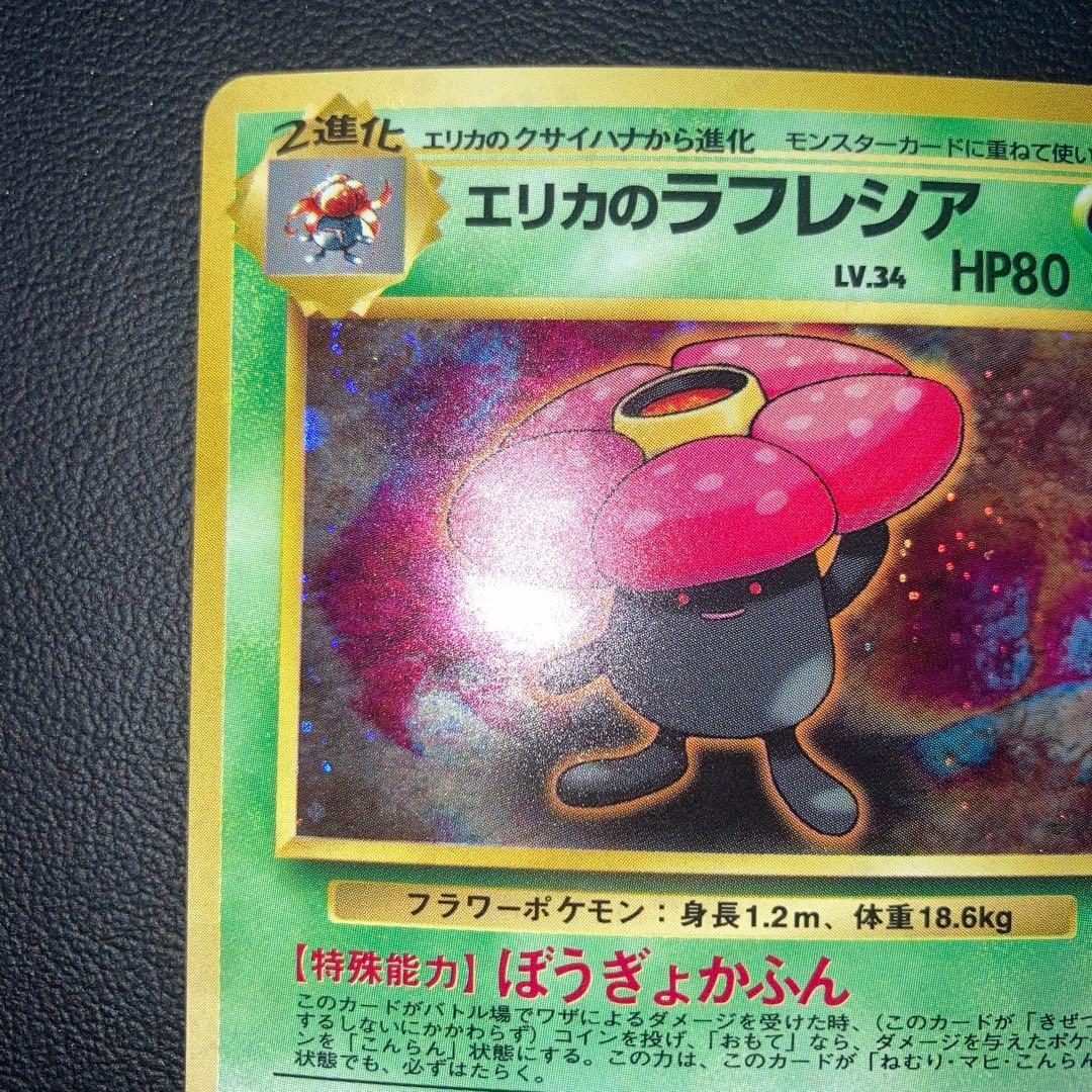 極美品　旧裏　わるいラフレシア　旧裏　キラ　ホロ　渦巻き