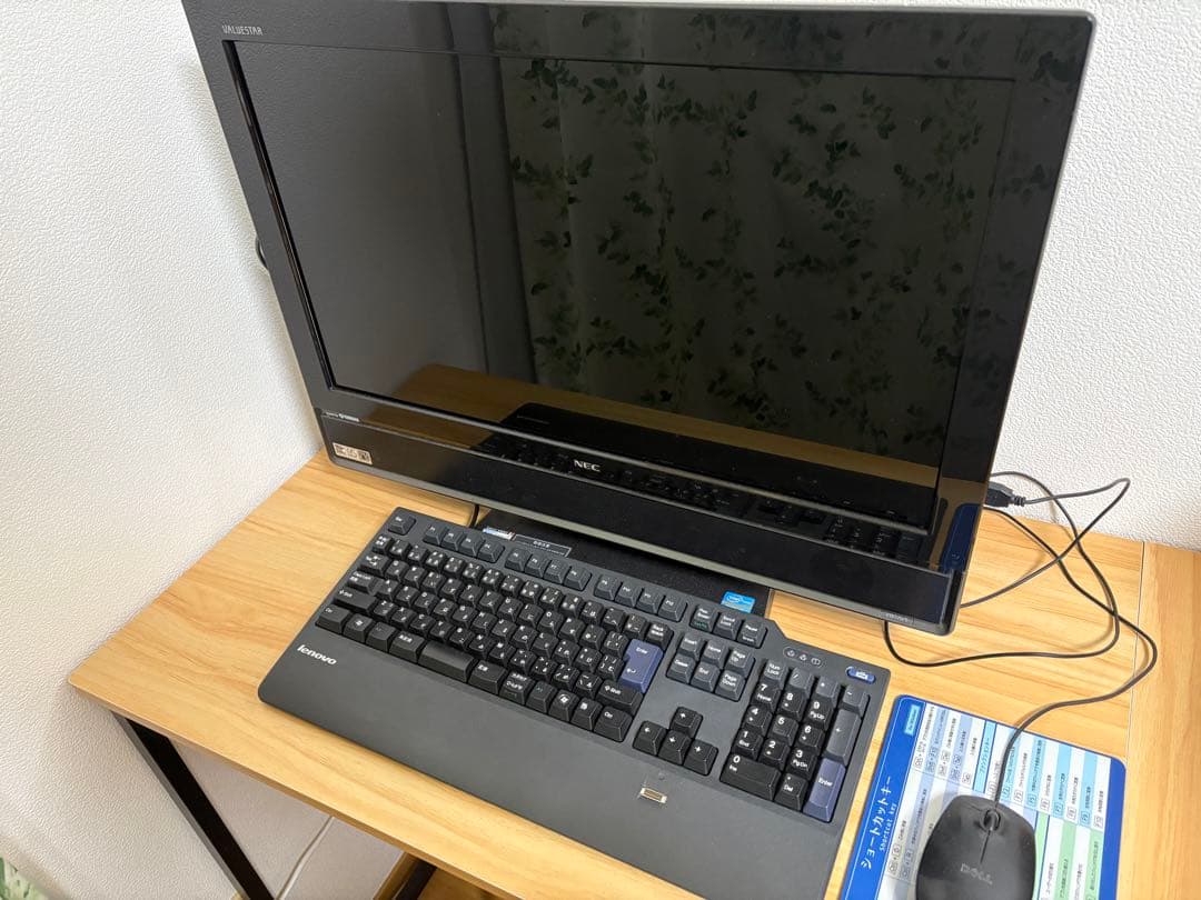 NEC オールインワンPC キーボード・マウス付き