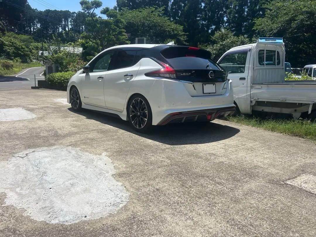 ZE1 AZE0　日産 リーフ　BLITZ DAMPER ZZR　車高調