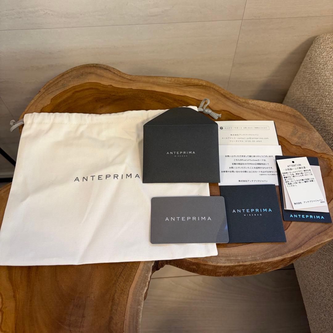 ANTEPRIMA スタンダード ミニアトゥーラ ワイヤーバッグ