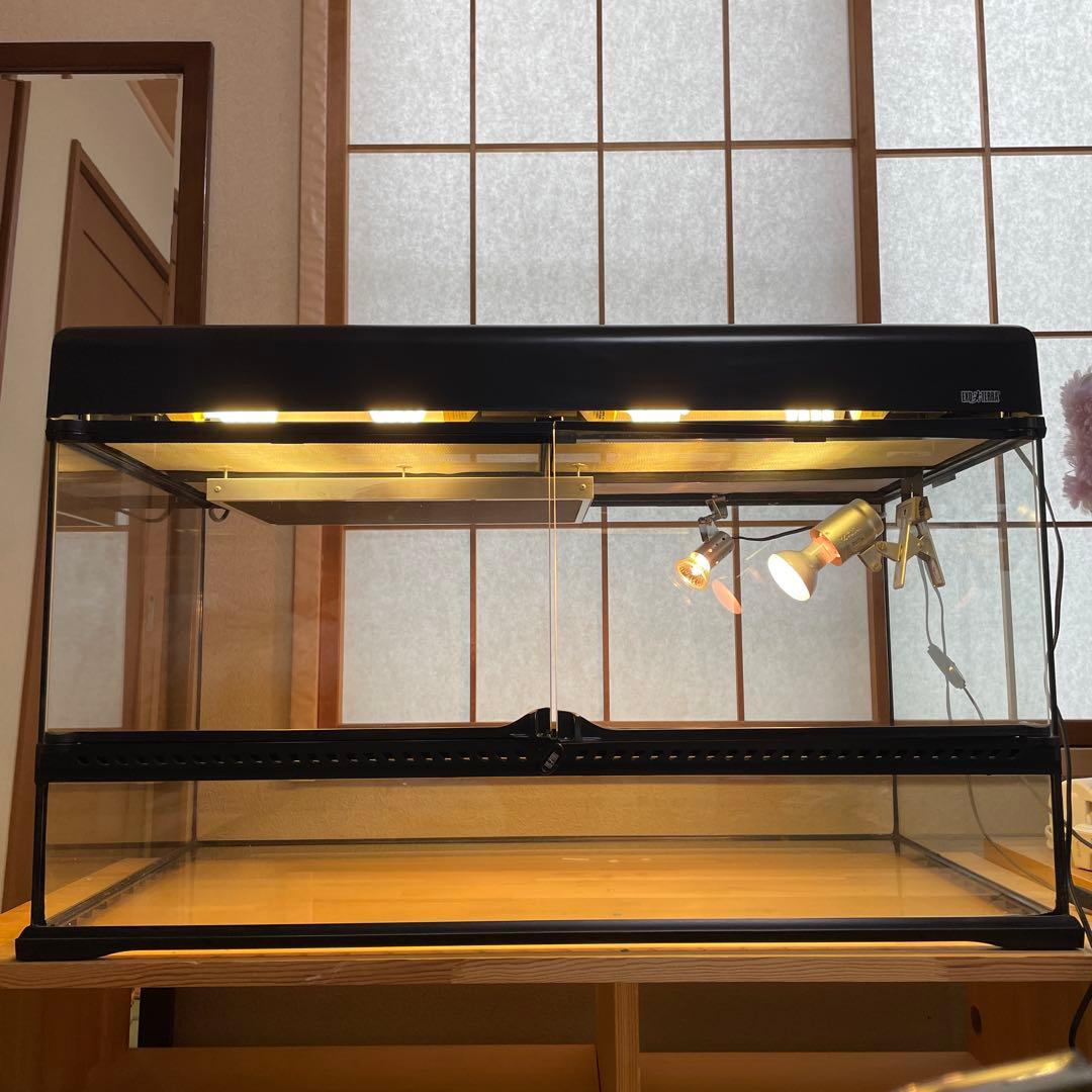 鬼若丸エキゾテラ