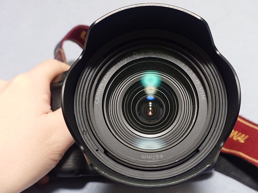 Canon EOS 80D デジタル一眼レフカメラ