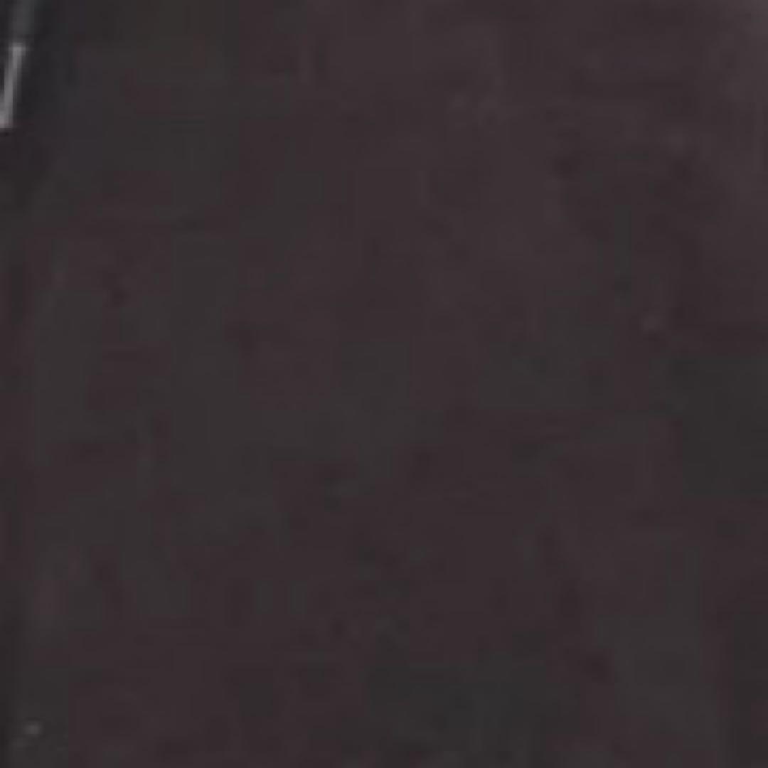 Carhartt レディースジャケット Sサイズ