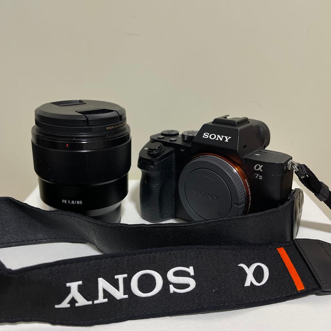 SONY α7Ⅱ( ILCE-7M2 )/ SONY FE 85mm F1.8