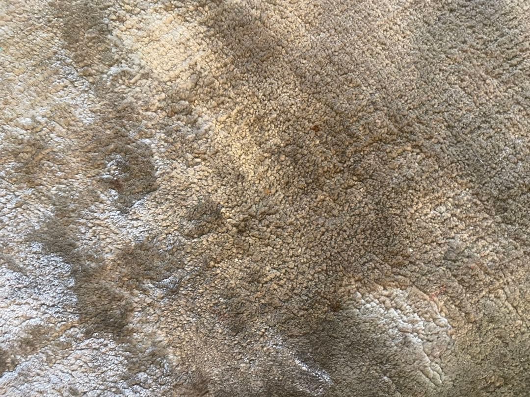 ラグ（ボーコンセプト）