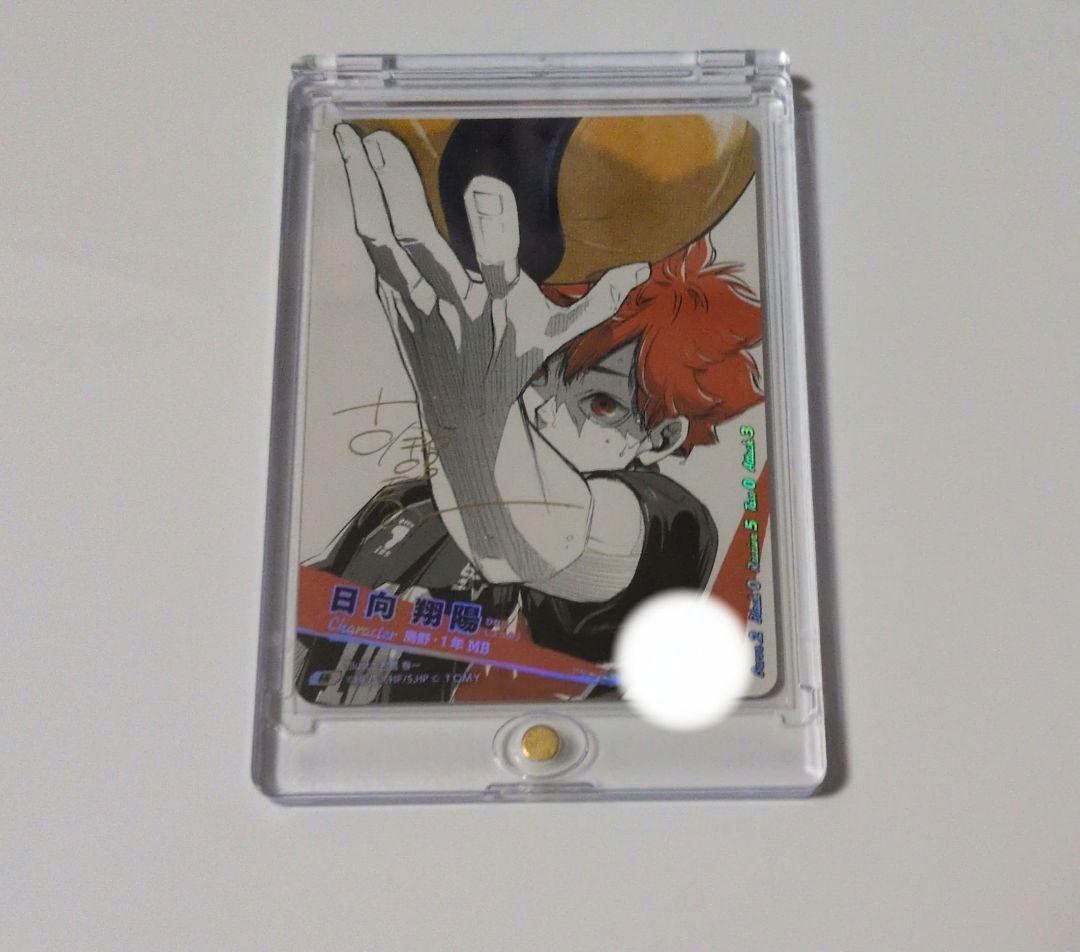 【お値下げ中】日向翔陽バボカ/極