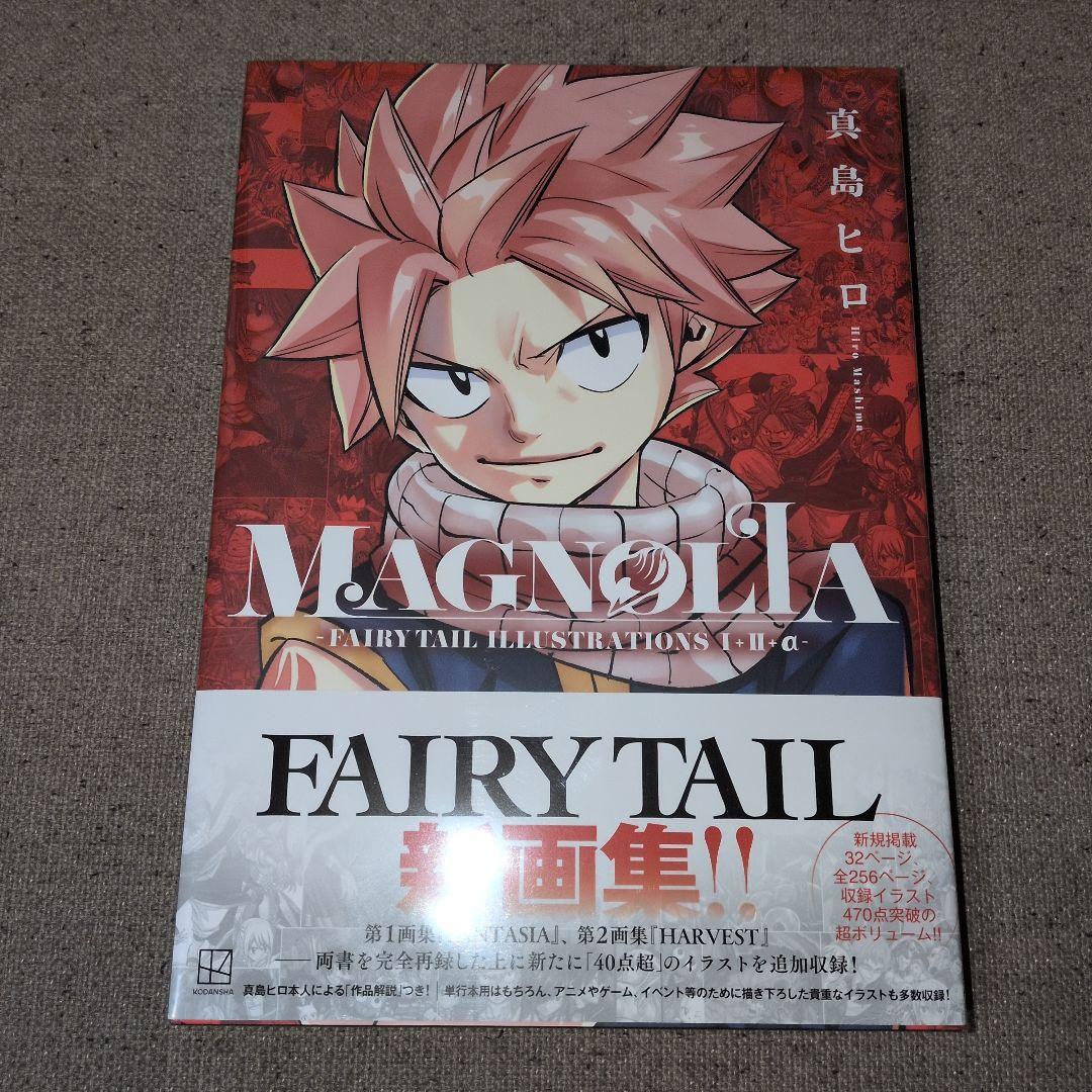 MAGNOLIA-FAIRY TAIL ILLUSTRATIONS 1+2+α-