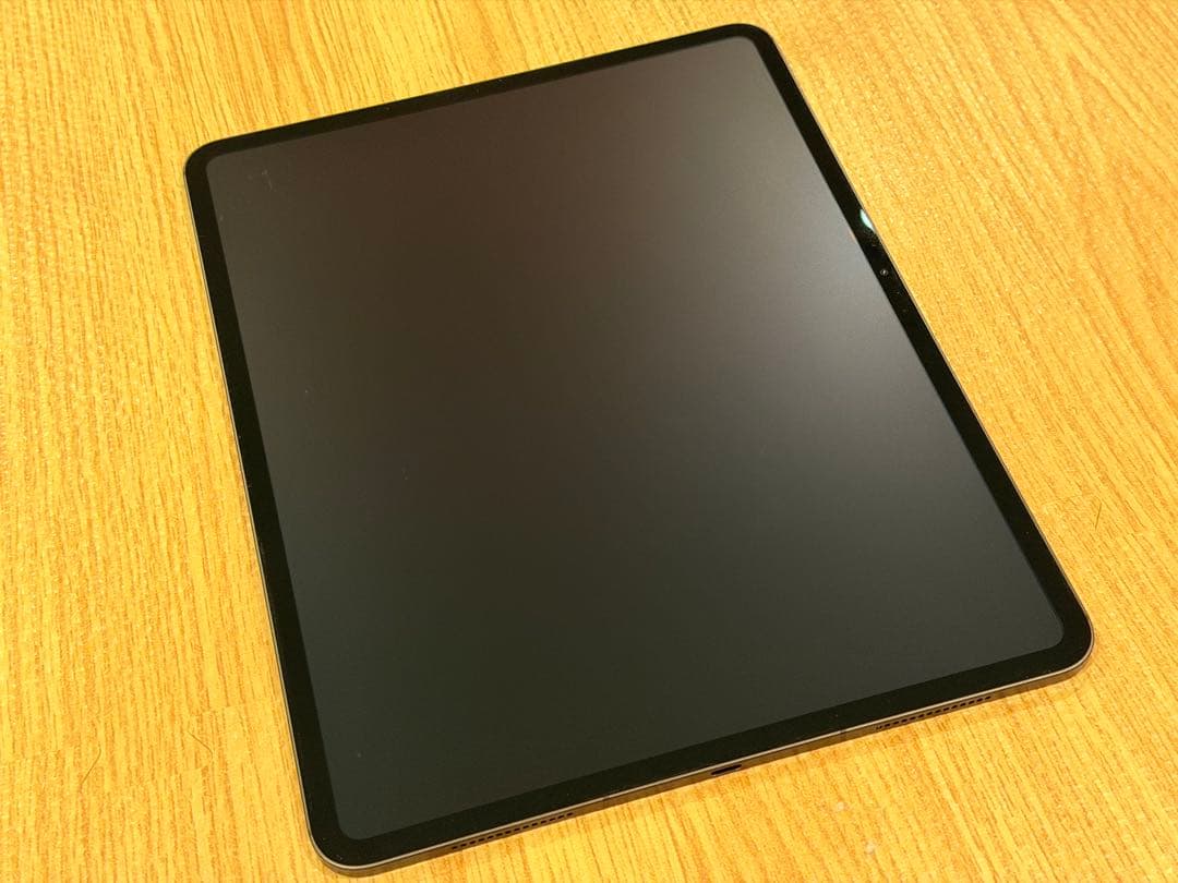 iPad Pro M4 13インチ Cellular Nano 1TB