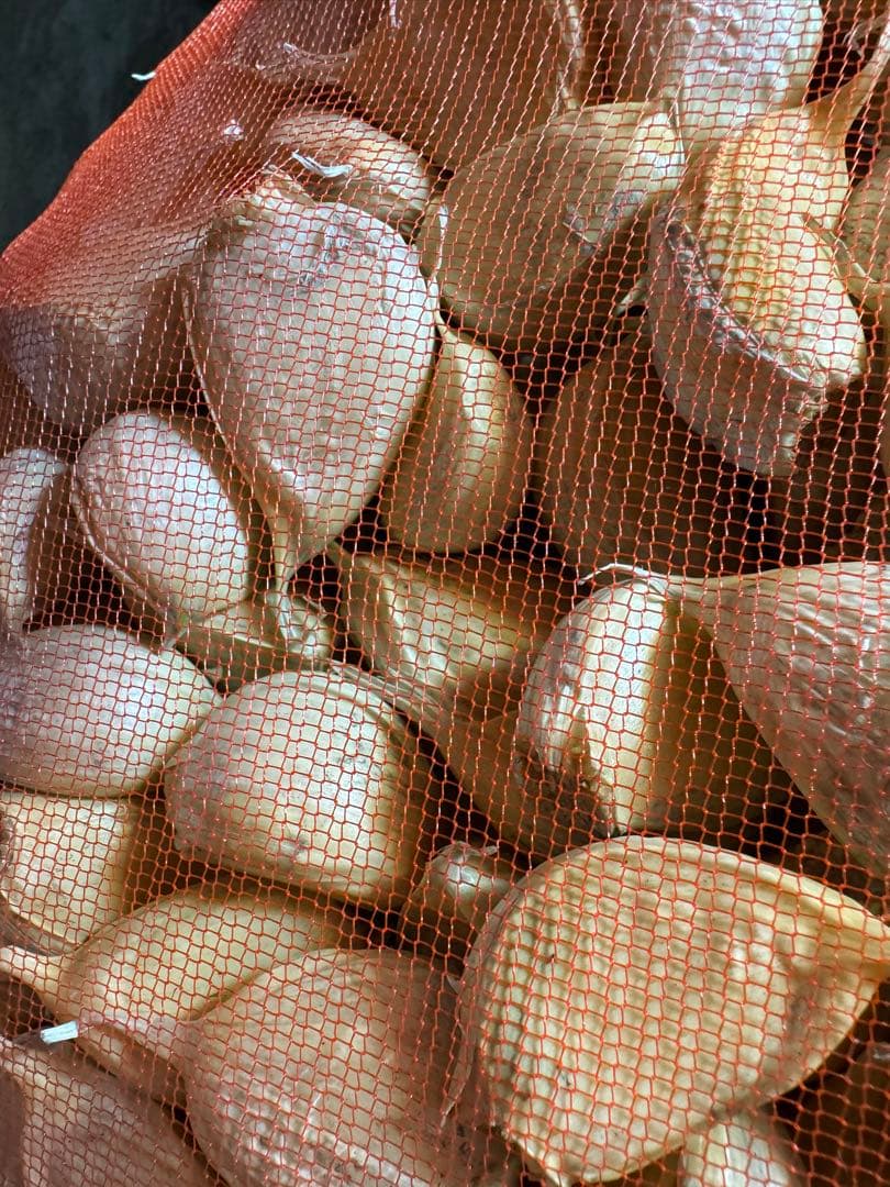 青森県産　消毒にんにく　白玉王　LM 10kg