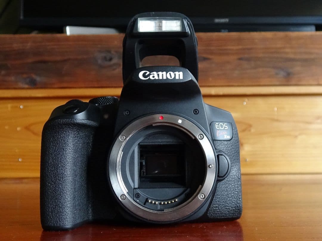 Canon EOS Kiss X10iダブルズームセット おまけ付き