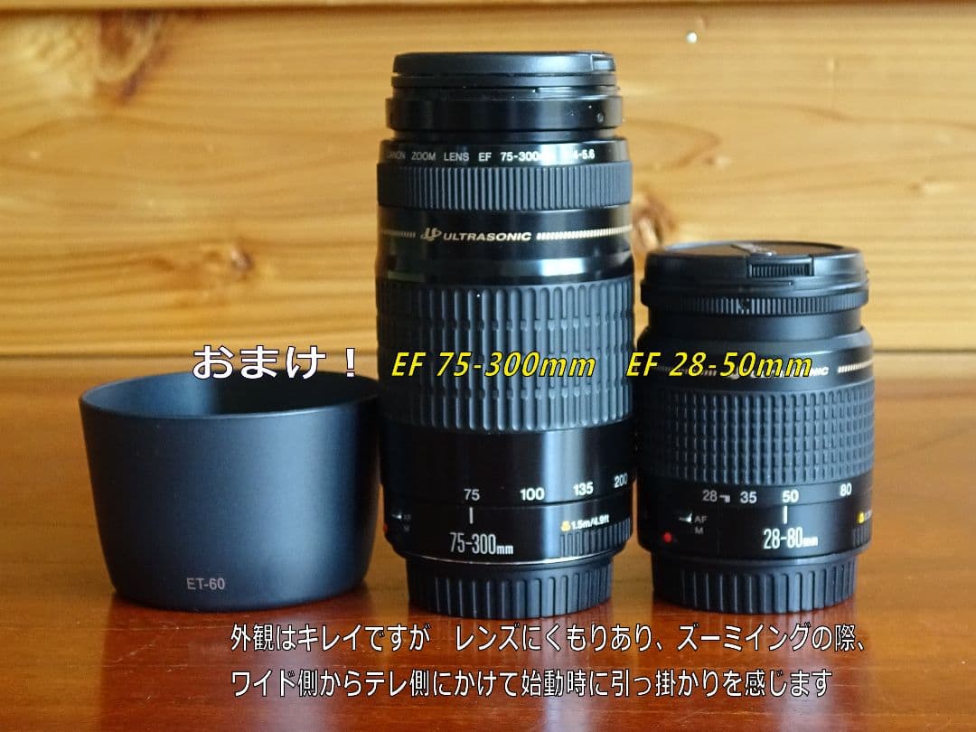 Canon EOS Kiss X10iダブルズームセット おまけ付き