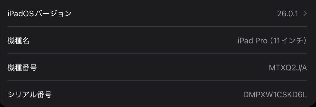 iPad Pro 11 （256GB）+ Apple Pencil 2 おまけ付