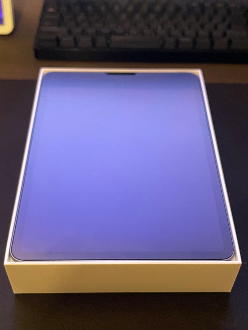 iPad Pro 11 （256GB）+ Apple Pencil 2 おまけ付