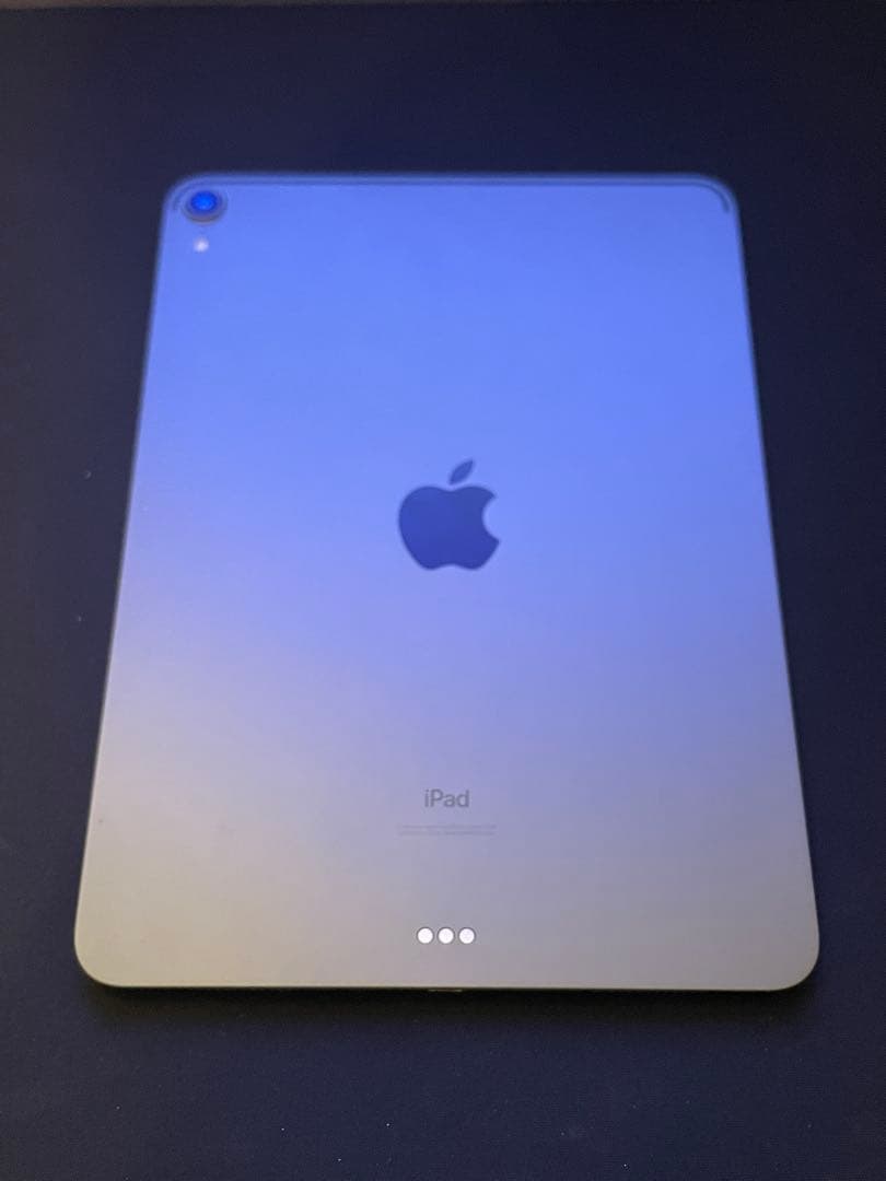 iPad Pro 11 （256GB）+ Apple Pencil 2 おまけ付